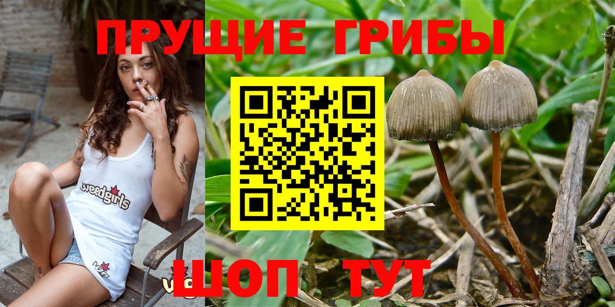 Псилоцибиновые грибы мухоморы  Вход с VPN  Псилоцибиновые грибы GOLDEN TEACHER  Кыштым 